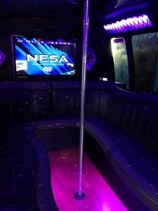 16 Passenger Luxury Party Bus   